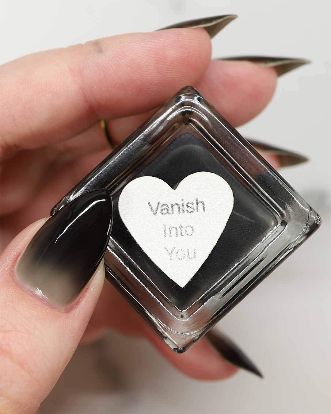 Vanish Into You